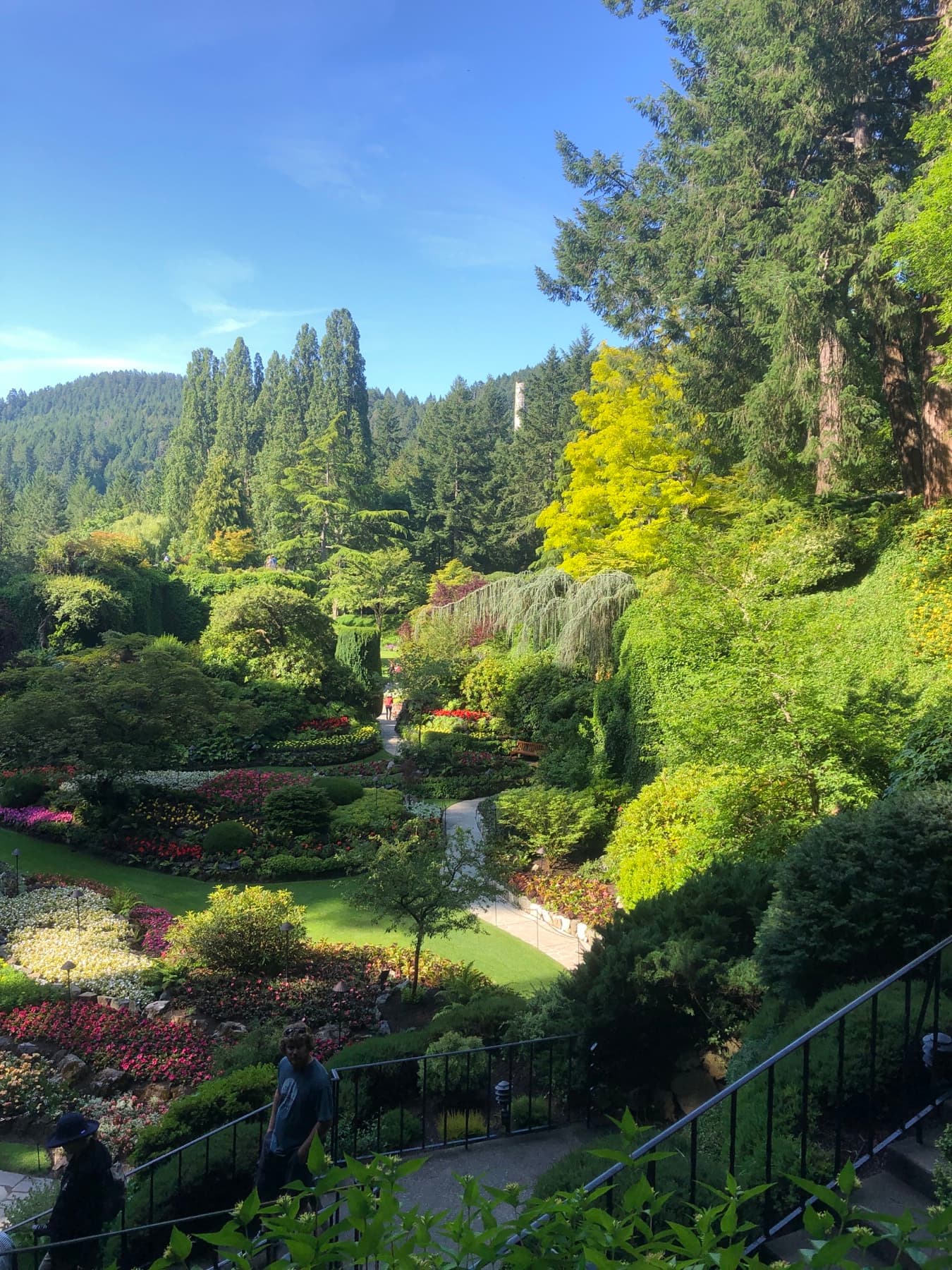Terraced botanical garden with colorful flower beds and winding paths