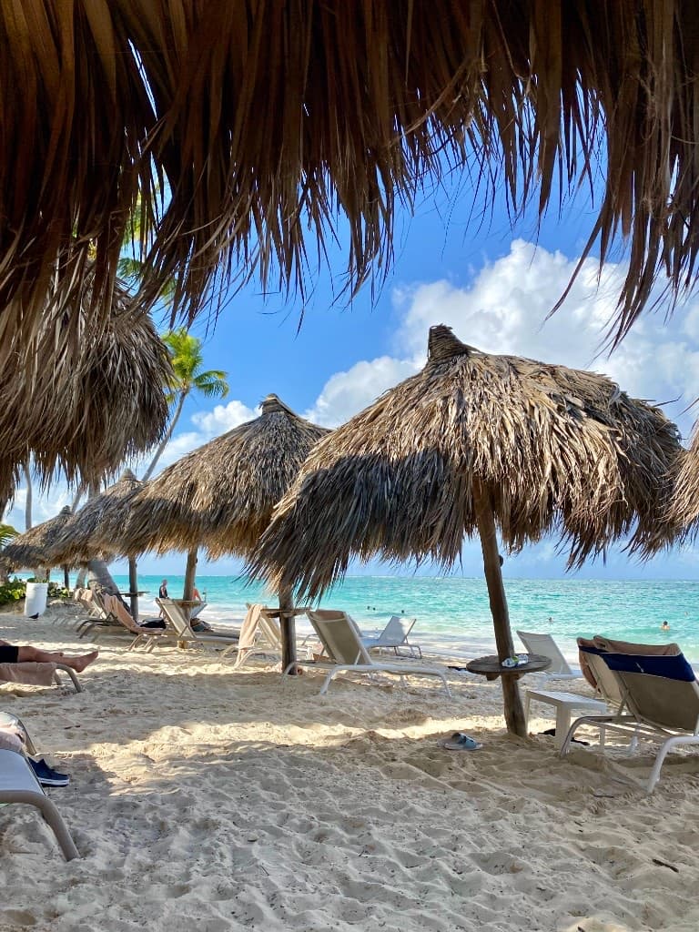 Inspiration — turquoise water and palm-shaded beach