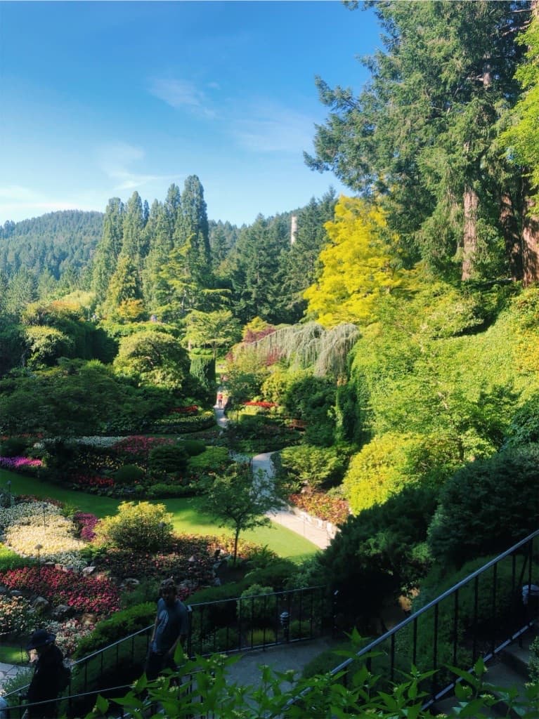 Inspiration — botanical garden paths and evergreens, Canada